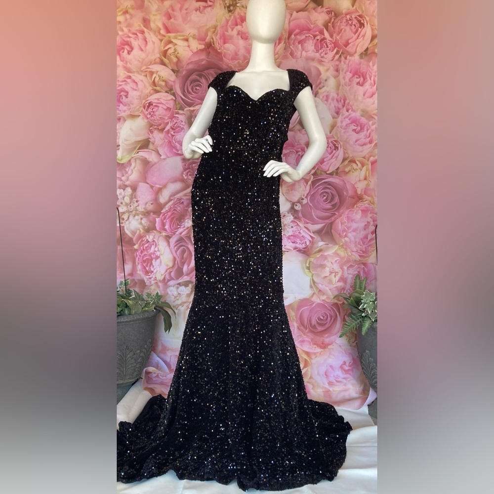 Faeriesty Black Sparkly Plus Size 4XL Evening Gown, Plus Size Wedding Dress